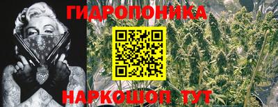 прущая мука Кулебаки