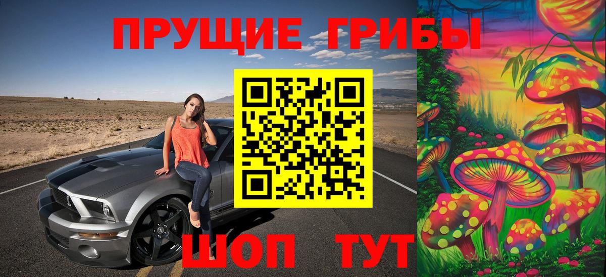 Псилоцибиновые грибы Psilocybe Ирбит