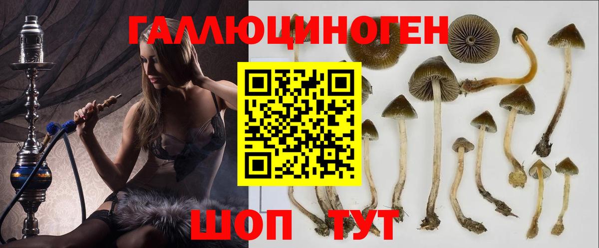 Ирбит  Псилоцибиновые грибы MAGIC MUSHROOMS  Псилоцибиновые грибы Cubensis  Вход с VPN 
